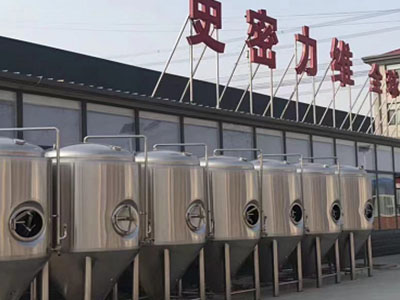 秀屿精酿啤酒设备厂—市场规模与跨界新需求